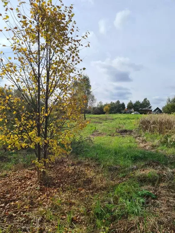 Участок в Владимирская область, Александровский муниципальный округ, ... - Фото 2