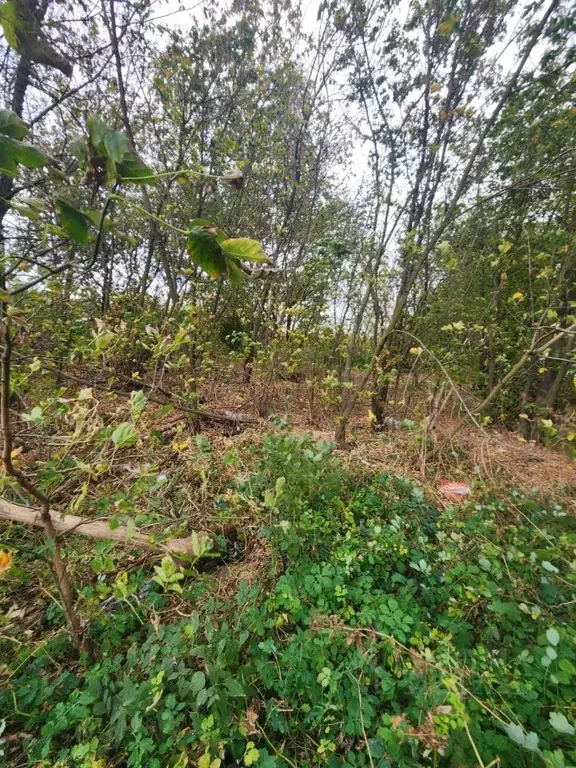 Участок в Московская область, Лыткарино Колхозная ул. (6.1 сот.) - Фото 2