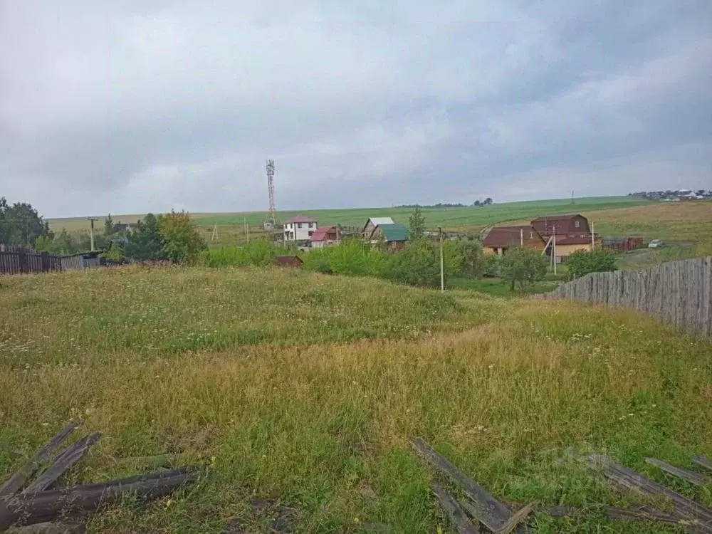 Участок в Иркутская область, Иркутский муниципальный округ, с. Мамоны ... - Фото 2