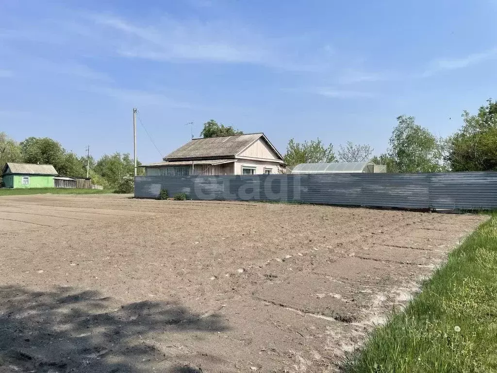 Дом в Амурская область, Благовещенский район, с. Егорьевка Центральная ... - Фото 1
