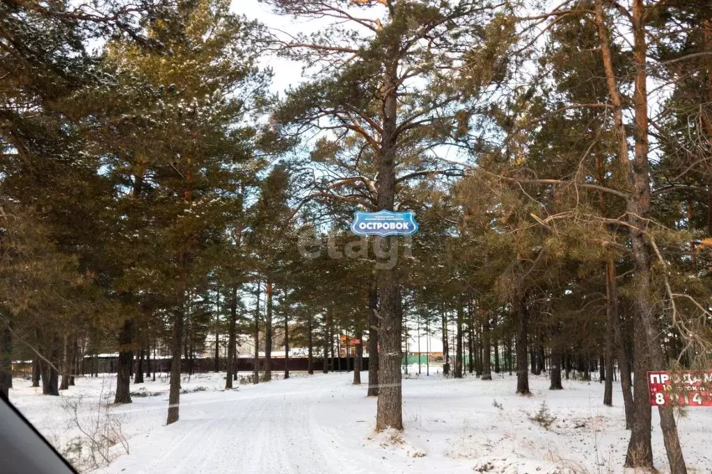 Участок в Забайкальский край, Читинский район, Островок СНТ  (16.0 ... - Фото 0