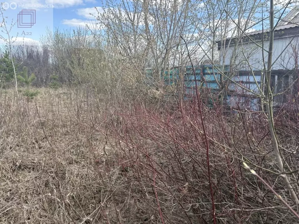 Участок в Алтайский край, городской округ Барнаул, село Власиха (7.1 ... - Фото 1