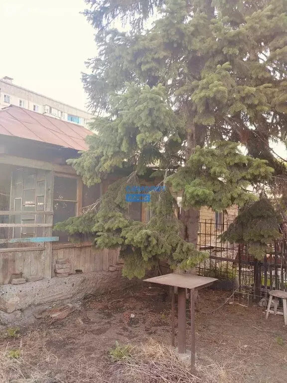 Дом в Бийск, улица Александра Матросова, 20 (38 м) - Фото 0