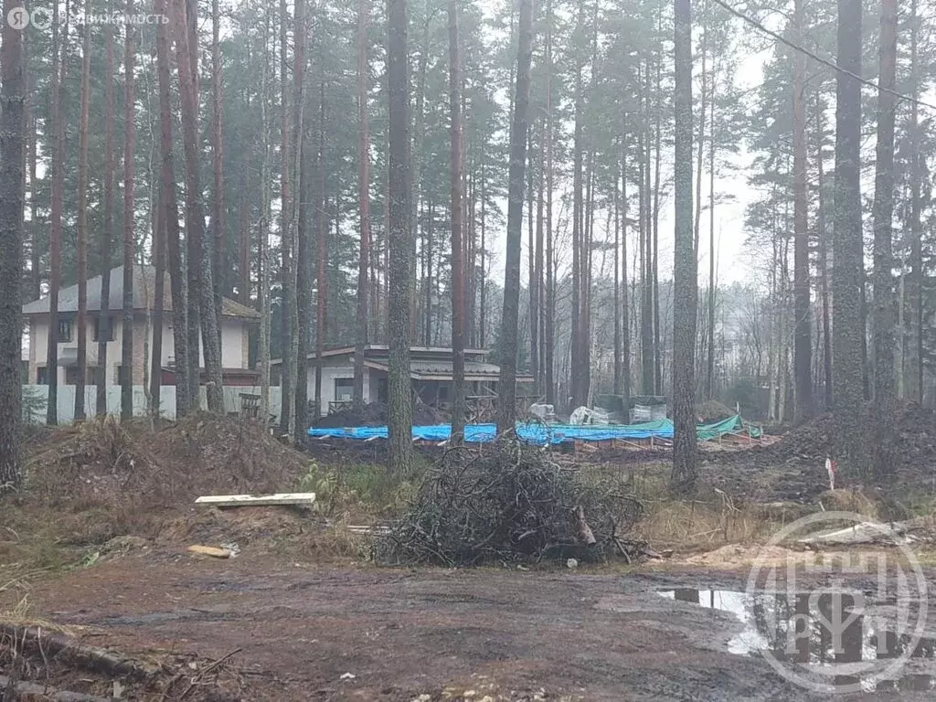 Участок в Вырица, улица Куйбышева (64 м) - Фото 1