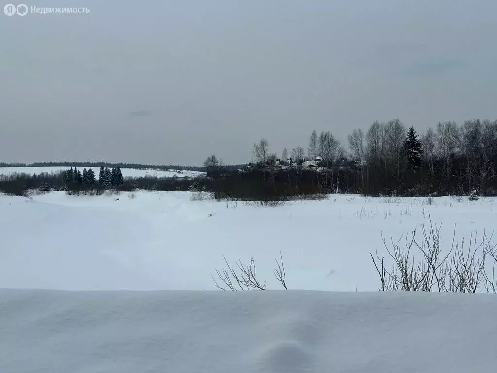 Участок в Пермский муниципальный округ, деревня Мостовая (Двуреченское ... - Фото 2