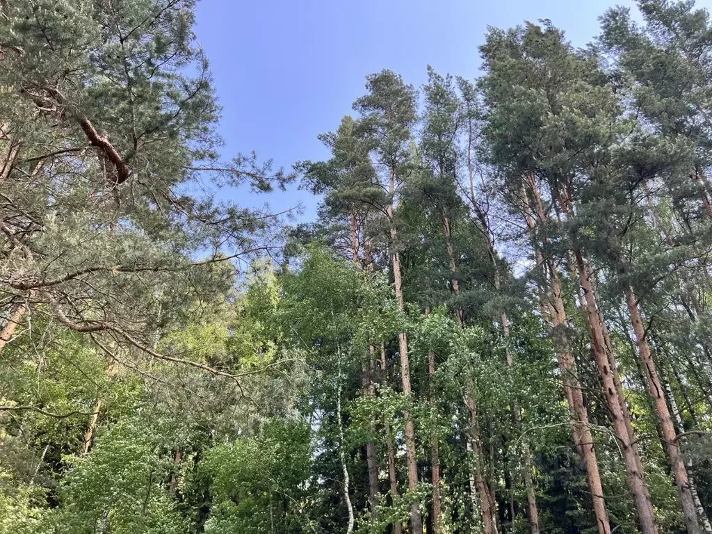Участок в Московская область, Дмитровский муниципальный округ, д. ... - Фото 2
