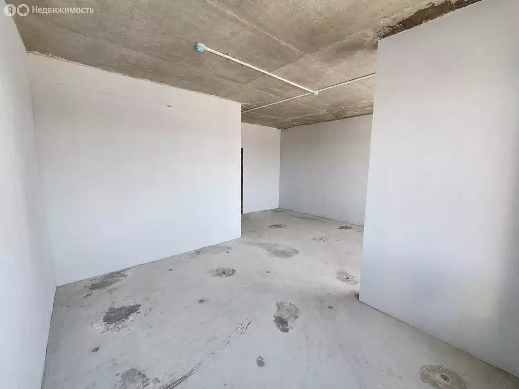 Офис (31.5 м) - Фото 2