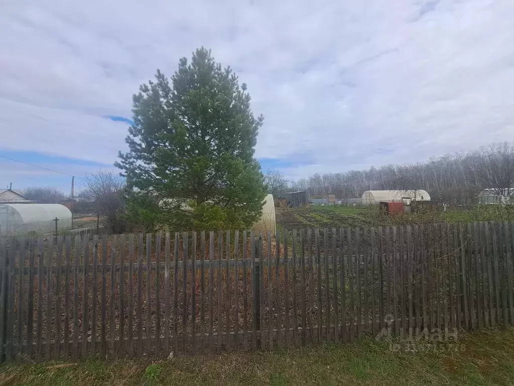 Участок в Курганская область, Курган Черемушки-4 СНТ, ул. Нижняя (11.0 ... - Фото 1