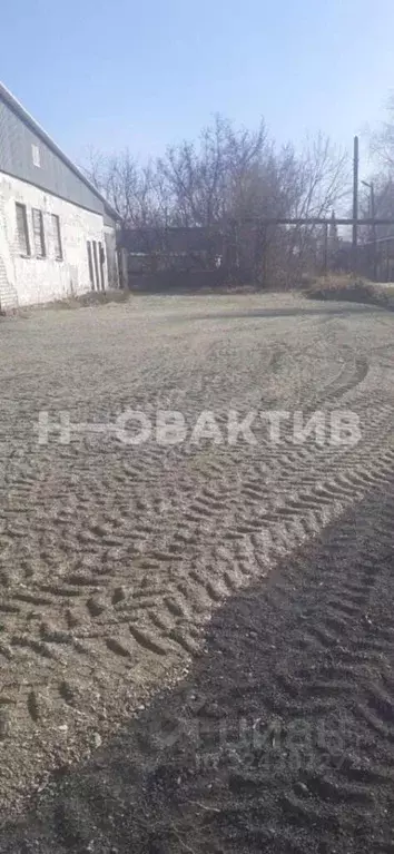 Торговая площадь в Алтайский край, Поспелихинский район, ... - Фото 2