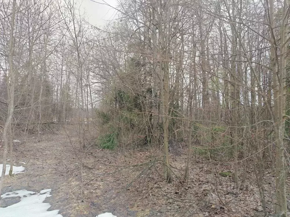 Участок в Московская область, Черноголовка городской округ, д. Старки ... - Фото 1