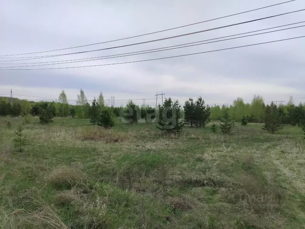 Участок в Челябинская область, Сосновский район, с. Архангельское ... - Фото 1