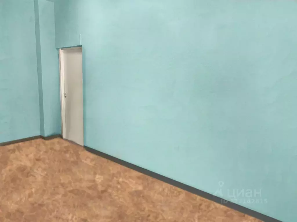 Помещение свободного назначения в Свердловская область, Пелым пгт ул. ... - Фото 2