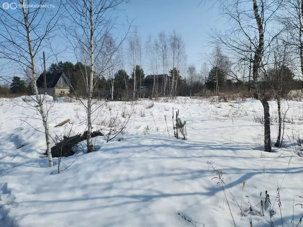 Участок в Нетьинское сельское поселение, СДТ Светлое (5 м) - Фото 2