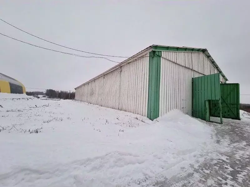 Склад в Московская область, Кашира городской округ, д. Барабаново, ... - Фото 2