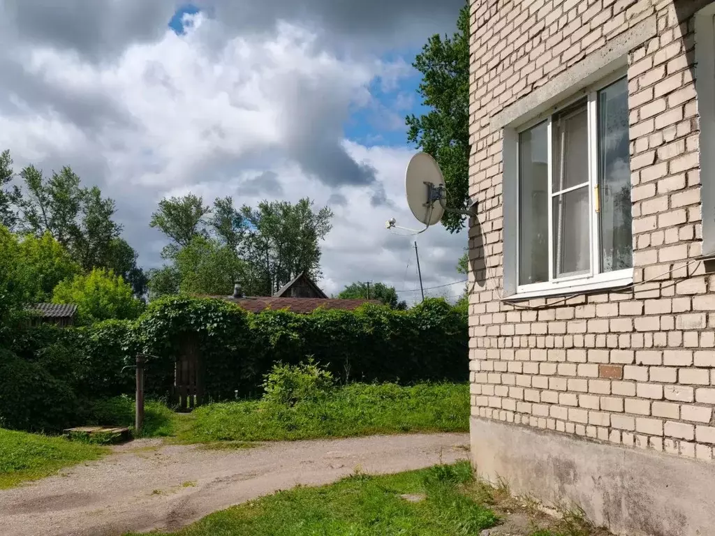 1-к кв. Псковская область, Остров Загородная ул., 4 (31.0 м) - Фото 2