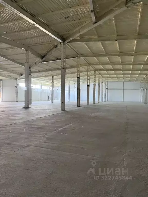 Склад в Новосибирская область, Новосибирский район, Толмачевский ... - Фото 1