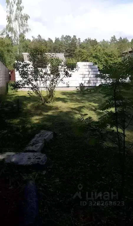 Участок в Курганская область, Кетовский муниципальный округ, Волна СТ  ... - Фото 1