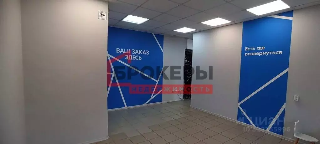 Помещение свободного назначения в Севастополь ул. Героев Севастополя, ... - Фото 2