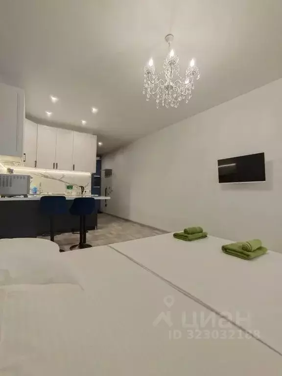 Студия Московская область, Старая Купавна Богородский городской округ, ... - Фото 2