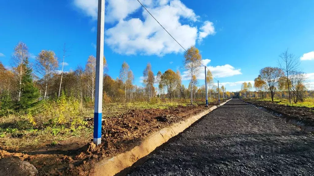 Участок в Московская область, Клин городской округ, д. Рубчиха  (6.5 ... - Фото 1