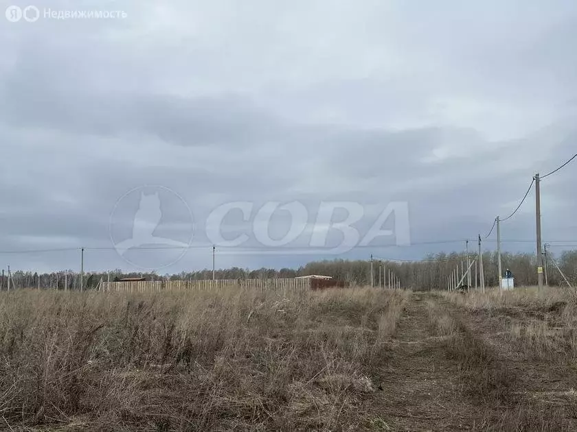 Участок в Тюменский район, деревня Большие Акияры (8 м) - Фото 1