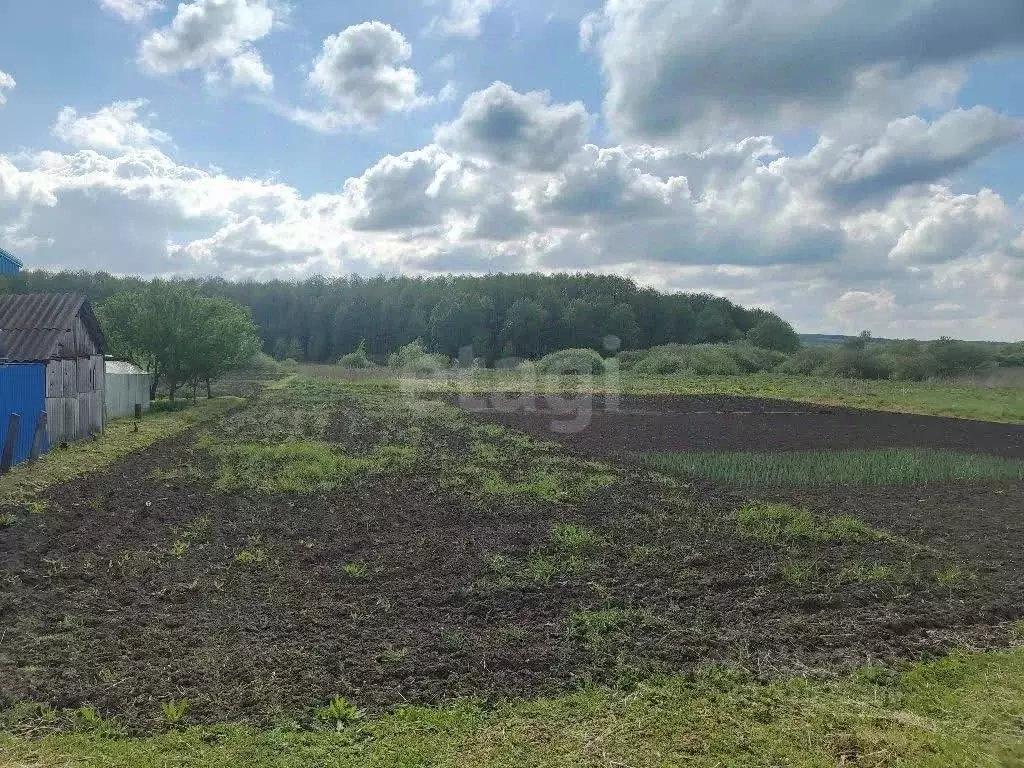 Участок в Белгородская область, Красногвардейский муниципальный округ, ... - Фото 2
