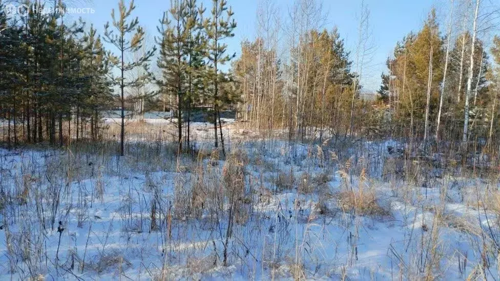 Участок в Тюменская область, Нижнетавдинский муниципальный округ, СТ ... - Фото 2