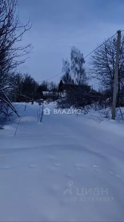 Участок в Владимирская область, Вязниковский район, Паустовское ... - Фото 1