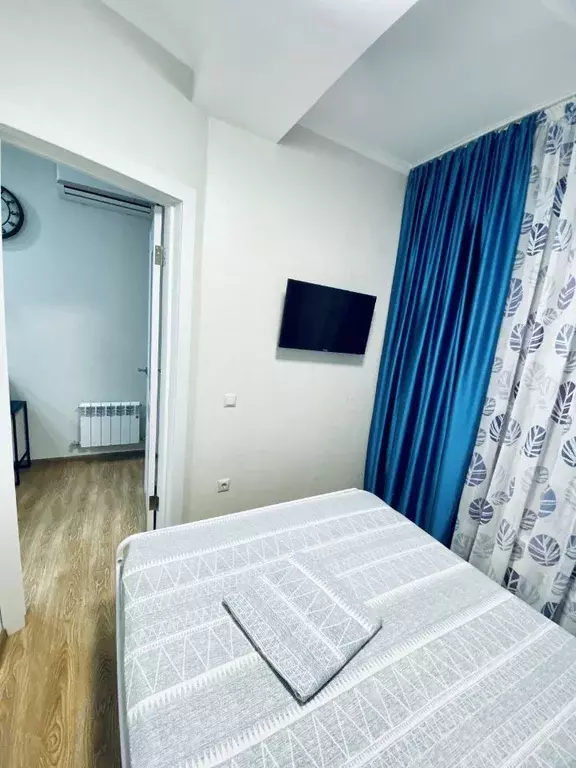 2-к кв. Краснодарский край, Сочи Мамайка мкр, ул. Волжская, 83А (30.0 ... - Фото 2