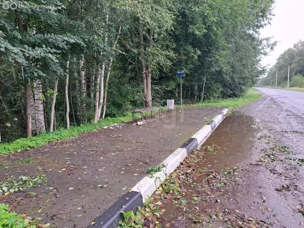 Участок в Псковский муниципальный округ, деревня Барбаши (25 м) - Фото 2