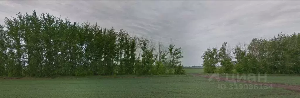 Участок в Башкортостан, Туймазинский район, Гафуровский сельсовет, д. ... - Фото 0