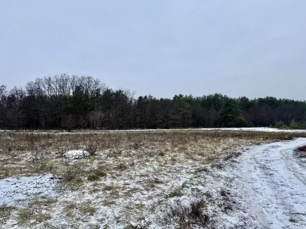 Участок в Воронежская область, Воронеж Шилово мкр,  (7.0 сот.) - Фото 1