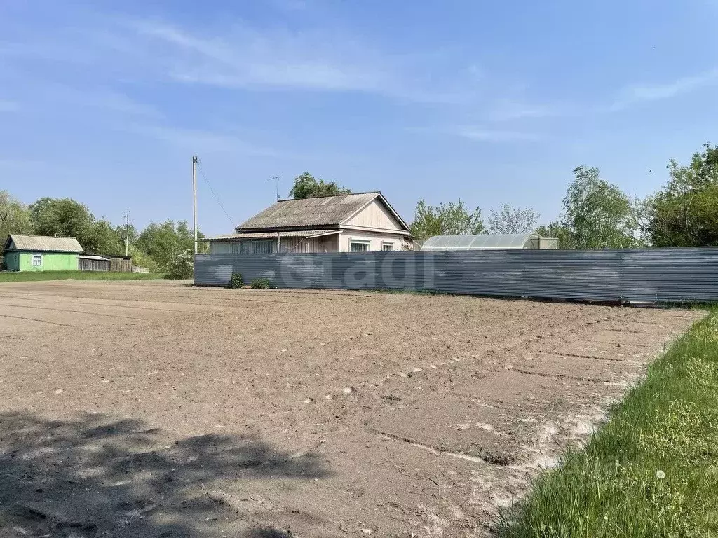 Дом в Амурская область, Благовещенский район, с. Егорьевка Центральная ... - Фото 1