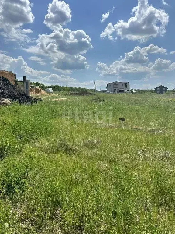 Участок в Воронежская область, Семилукский район, с. Девица  (10.1 ... - Фото 0