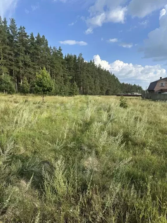 Участок в Нижегородская область, Выкса городской округ, с. Нижняя ... - Фото 1
