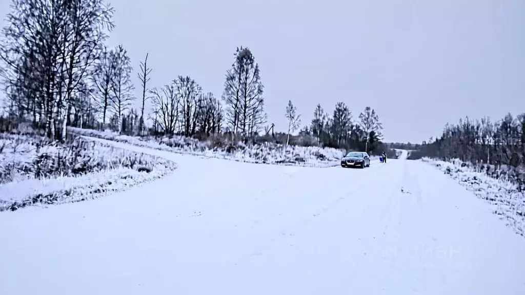 Участок в Смоленская область, Духовщинский муниципальный округ, д. ... - Фото 2