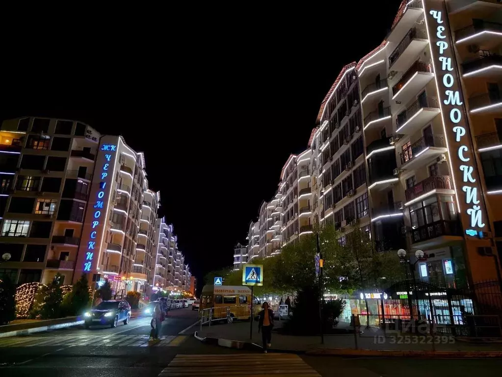 1-к кв. Краснодарский край, Геленджик Крымская ул., 22к21 (46.0 м) - Фото 2