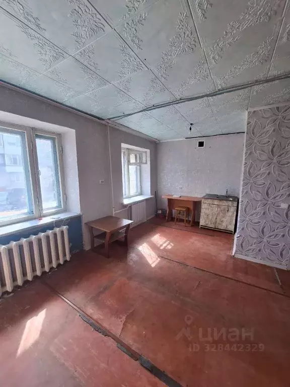 Студия Амурская область, Райчихинск ул. Победы, 58 (27.7 м) - Фото 1