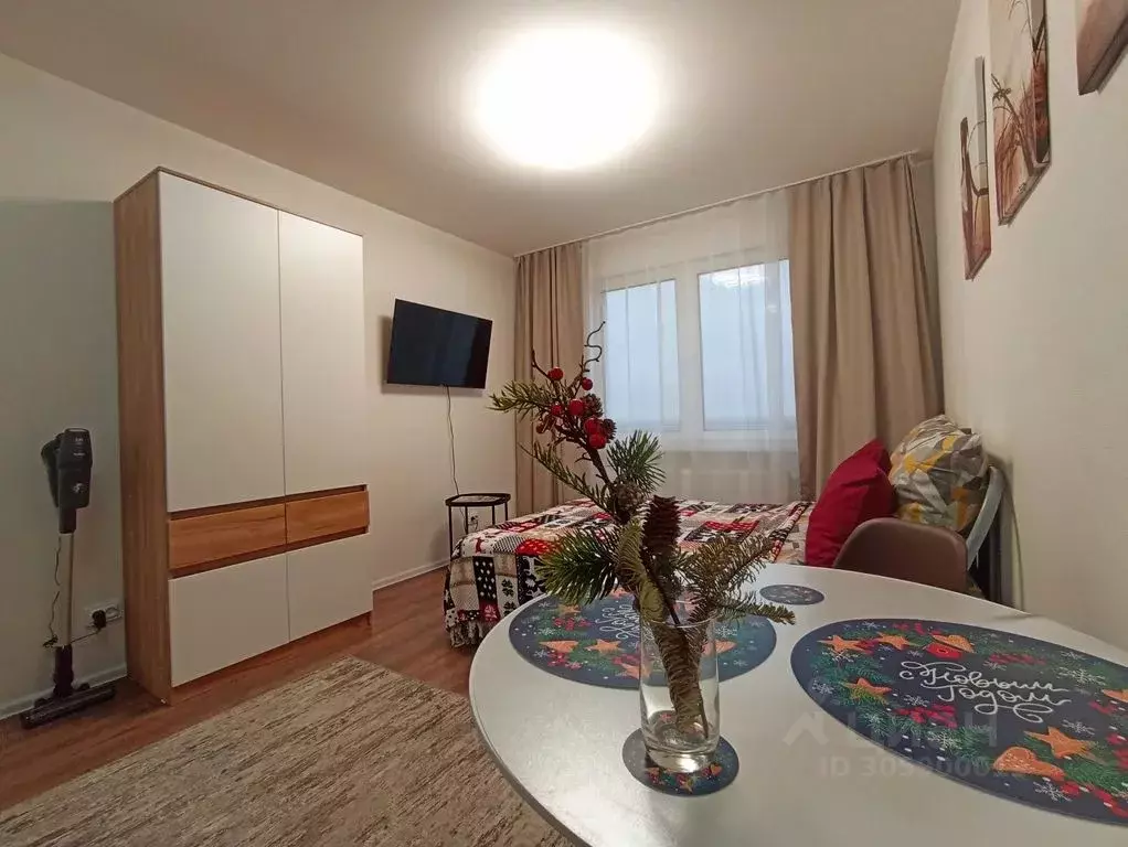 1-к кв. Санкт-Петербург ул. Пейзажная, 30 (20.0 м) - Фото 2