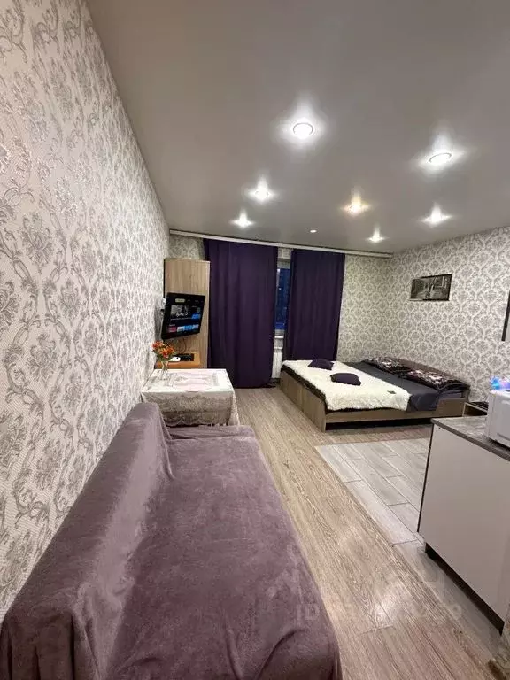 Студия Московская область, Домодедово Южный мкр, ул. Курыжова, 32 ... - Фото 2