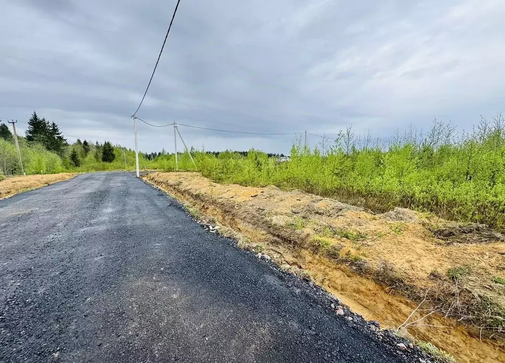 Участок в Ленинградская область, Всеволожский район, Агалатовское ... - Фото 2