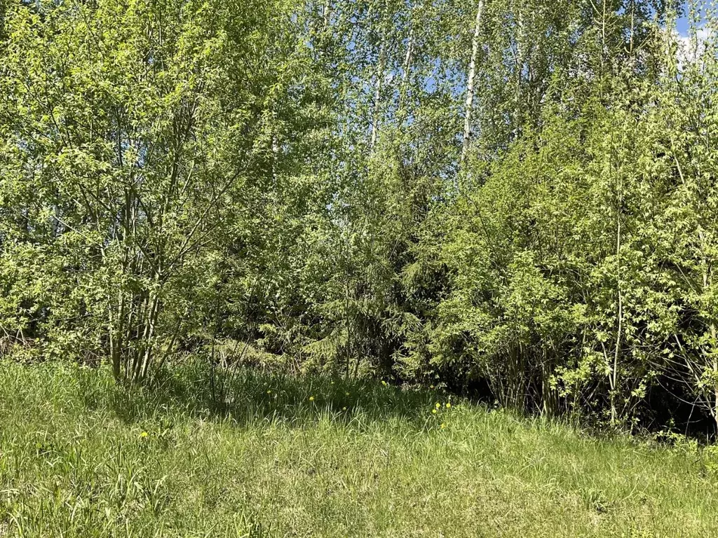 Участок в Ленинградская область, Всеволожский район, Колтушское ... - Фото 1