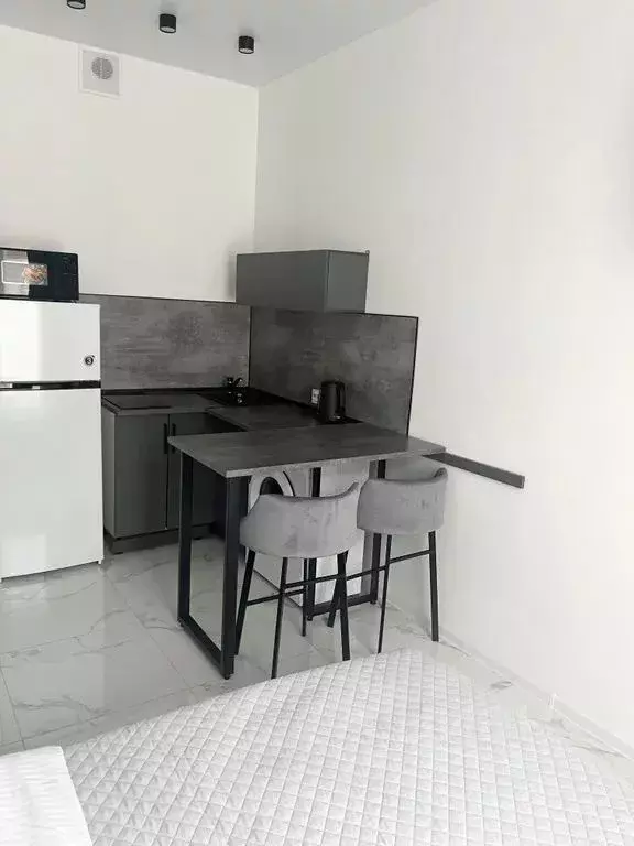 1-к кв. Краснодарский край, Сочи ул. Ленина, 290/7к3 (29.0 м) - Фото 1