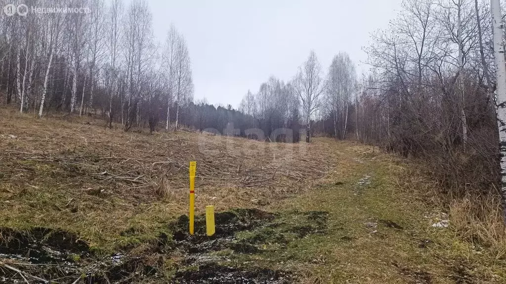 Участок в Горно-Алтайск, СНТ Бочкарёвка (98 м) - Фото 2