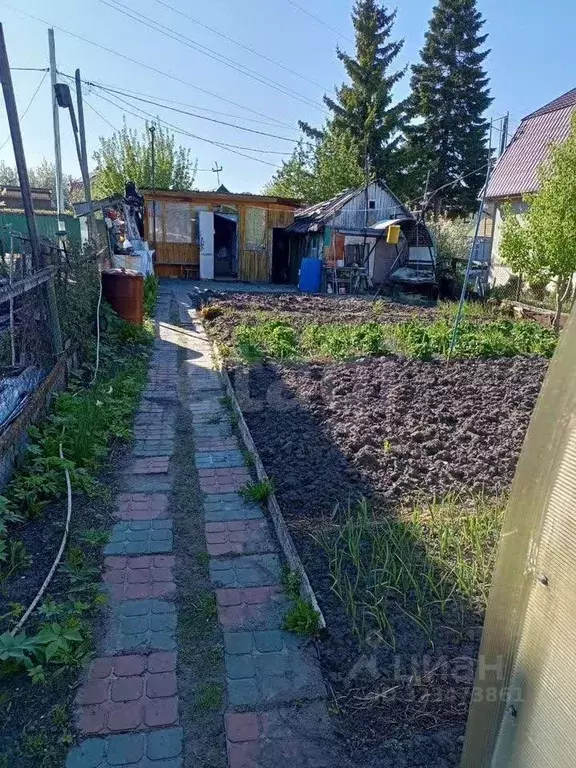 Участок в Тюменская область, Тюмень Ривьера садовое товарищество, ул. ... - Фото 2