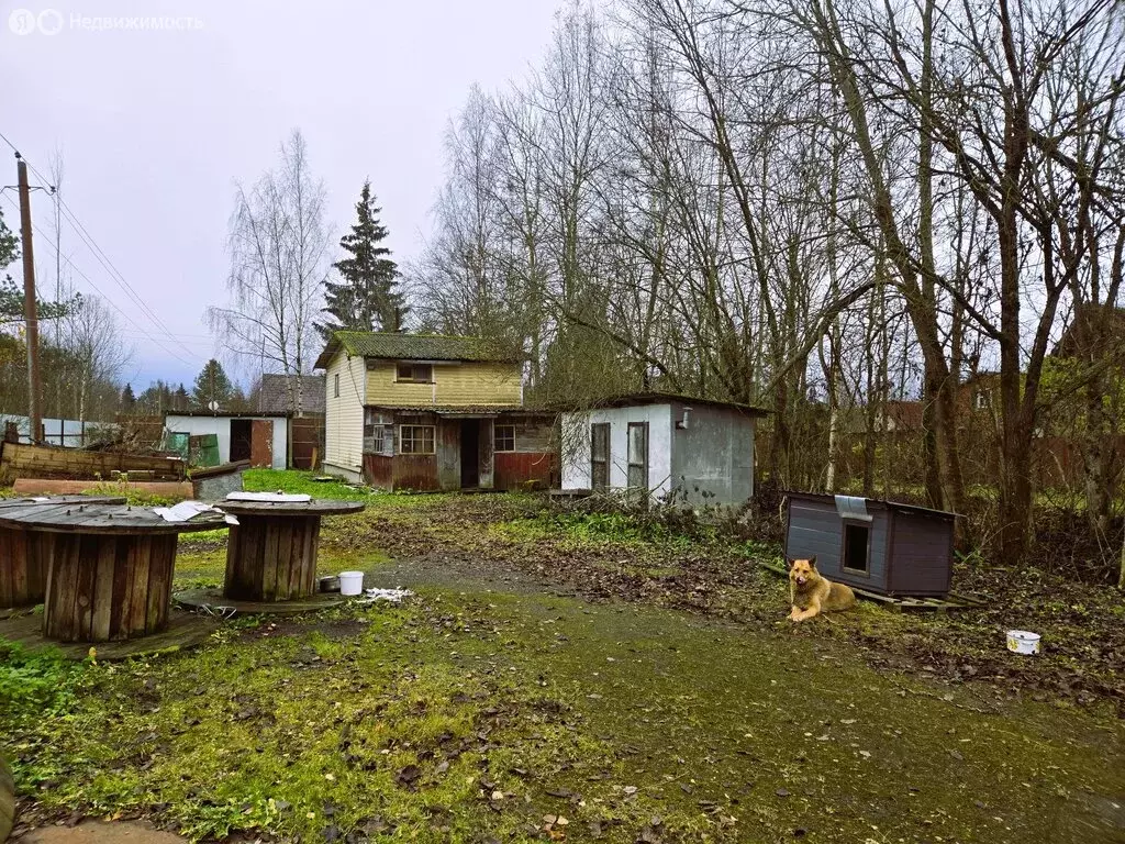 Дом в деревня Красницы, 13А (26 м) - Фото 1