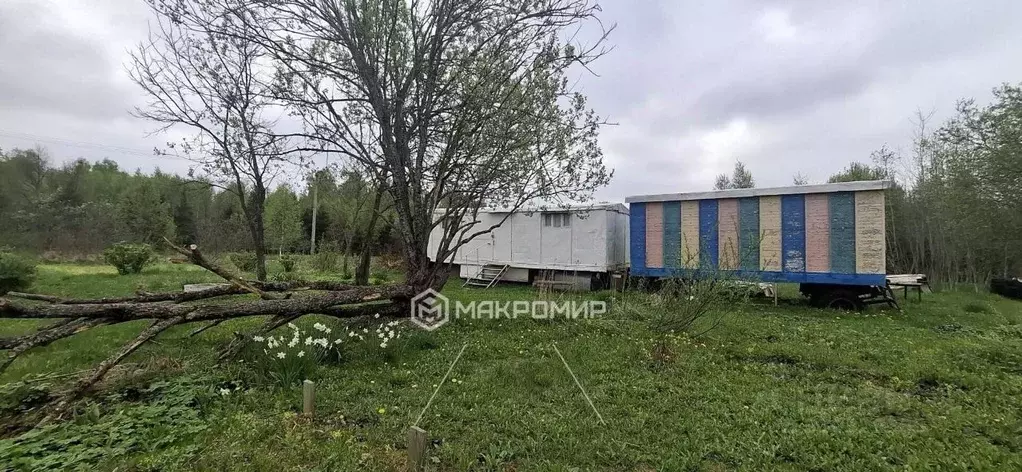 Участок в Московская область, Истра муниципальный округ, д. Горнево  ... - Фото 1