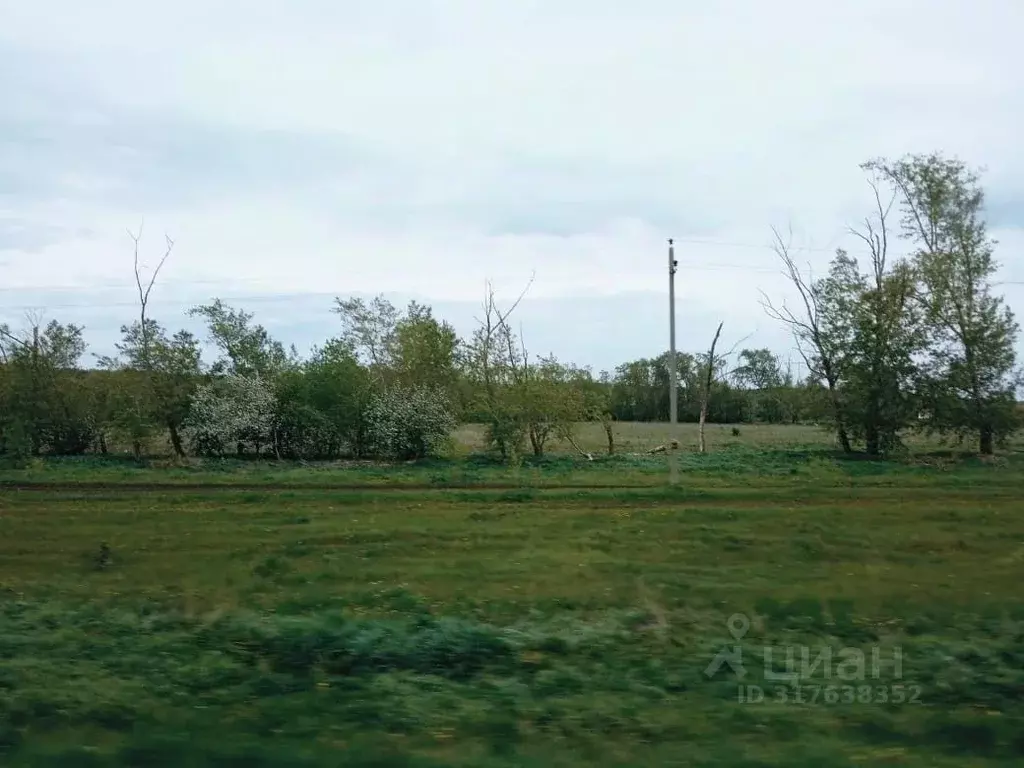 Участок в Челябинская область, пос. Увельский, пос. Сосняки ул. ... - Фото 0