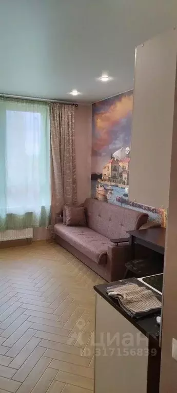 Студия Московская область, Химки городской округ, д. Рузино, ... - Фото 1