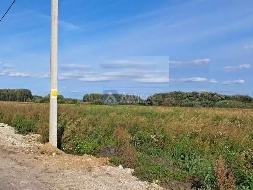 Участок в Тюменская область, Тюменский район, с. Горьковка  (8.0 сот.) - Фото 2